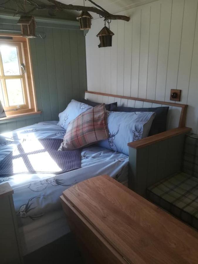 Gaggle Of Geese Pub - Shepherd Huts & Bell Tents Dorchester Eksteriør bilde